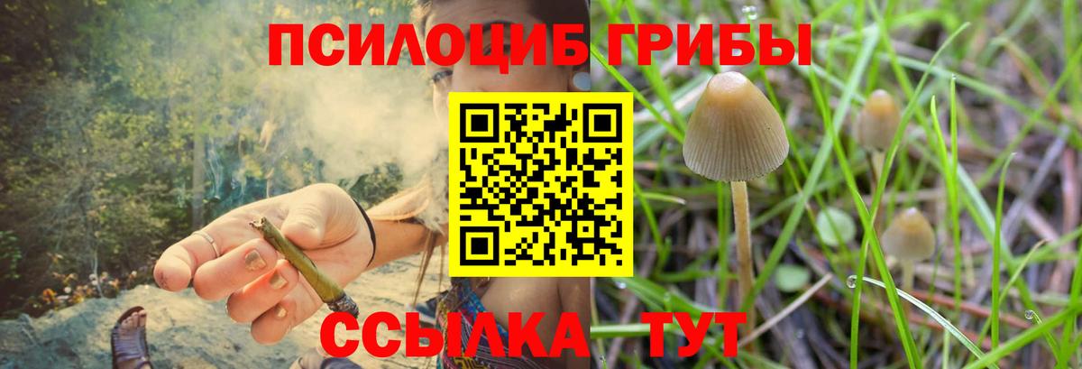 Галлюциногенные грибы мухоморы  Вход с VPN  Баксан 
